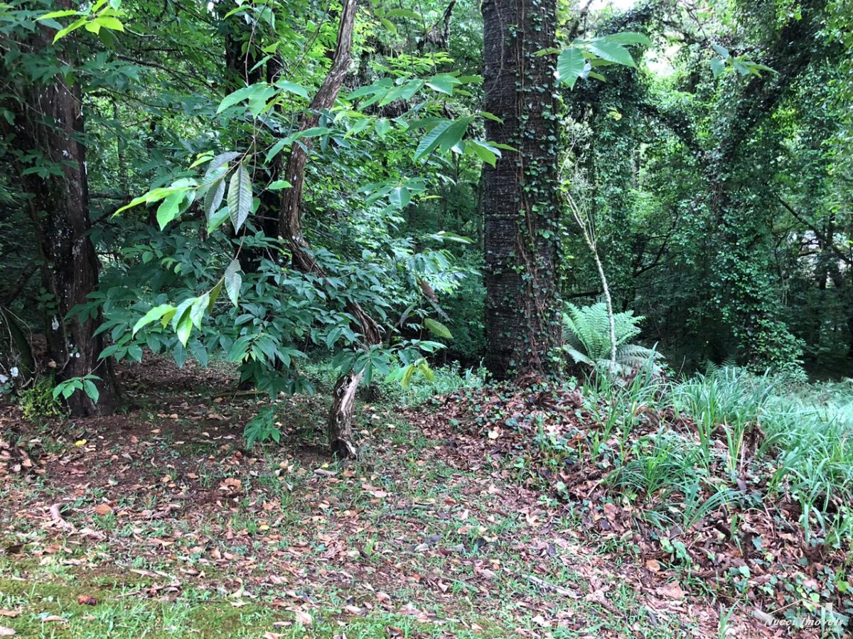 Excelente oportunidade em campos do jordão