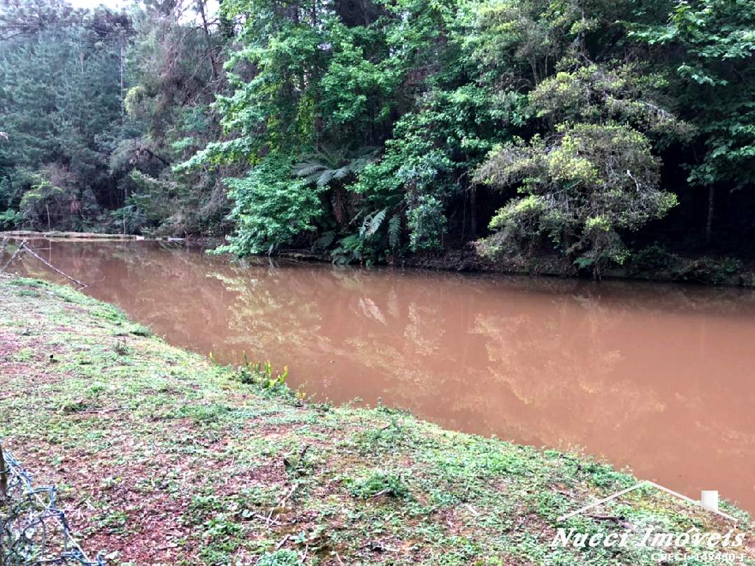 Excelente oportunidade em campos do jordão - foto 3