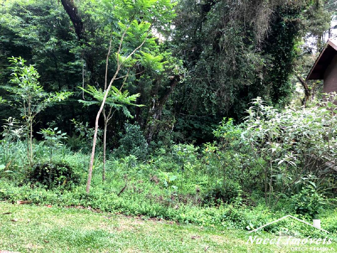 Excelente oportunidade em campos do jordão - foto 9