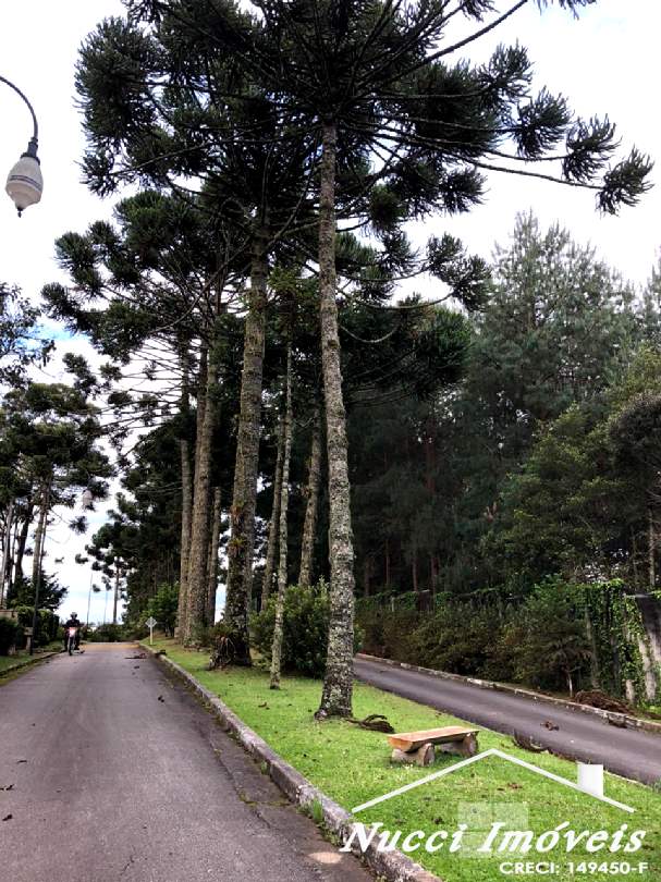 Excelente oportunidade em campos do jordão - foto 13