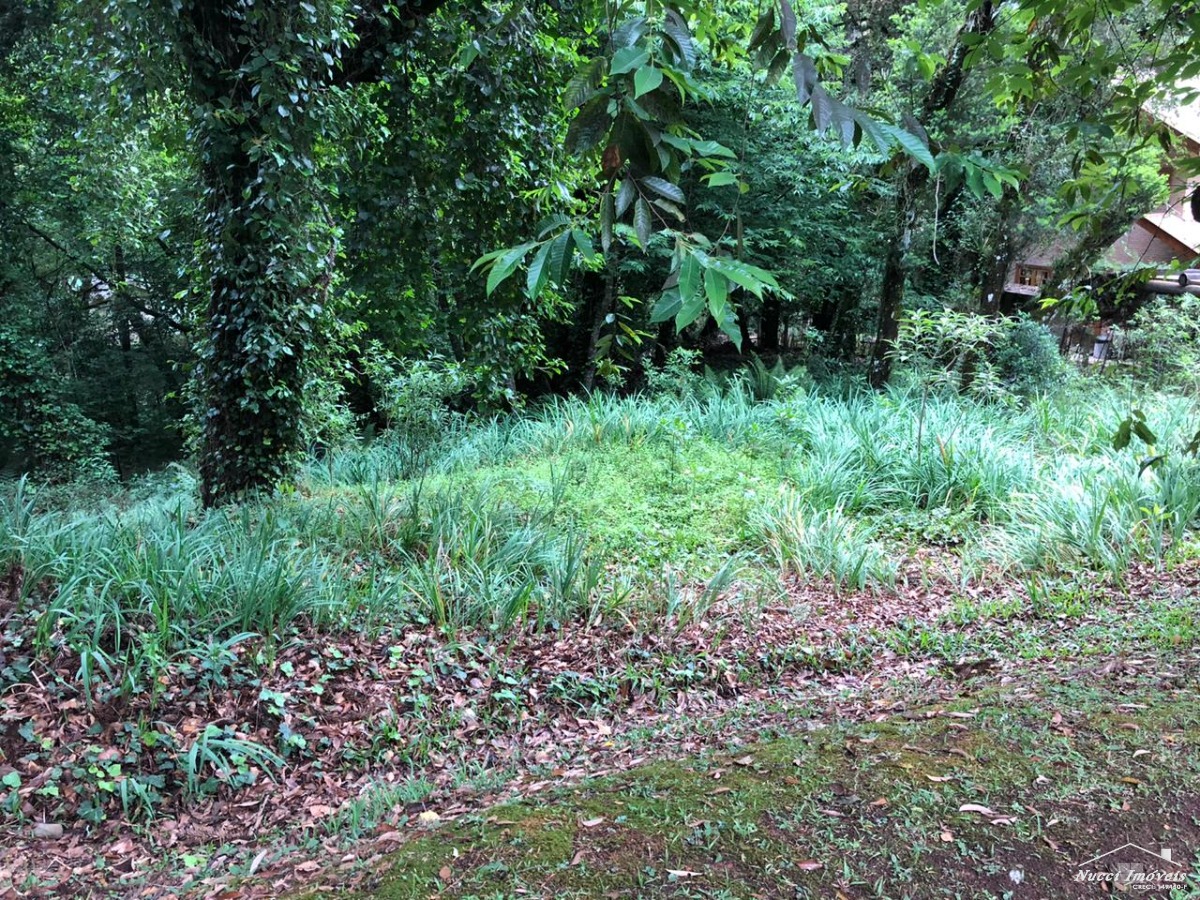 Excelente oportunidade em campos do jordão
