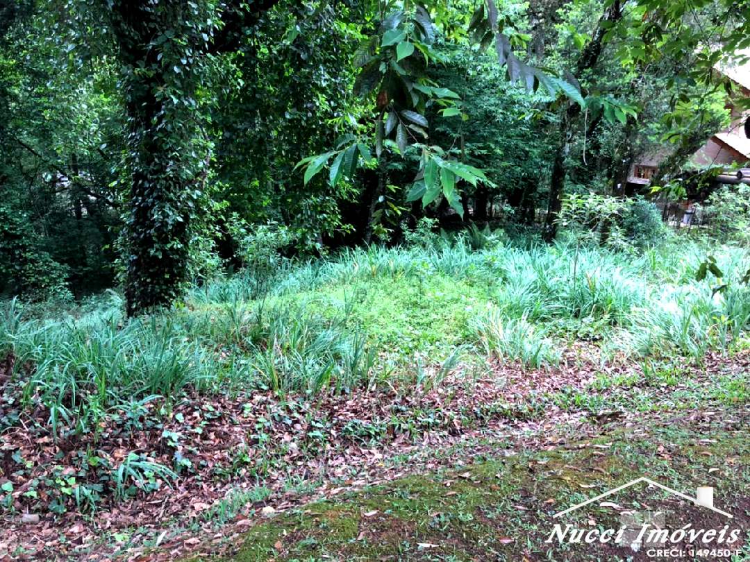Excelente oportunidade em campos do jordão - foto 11
