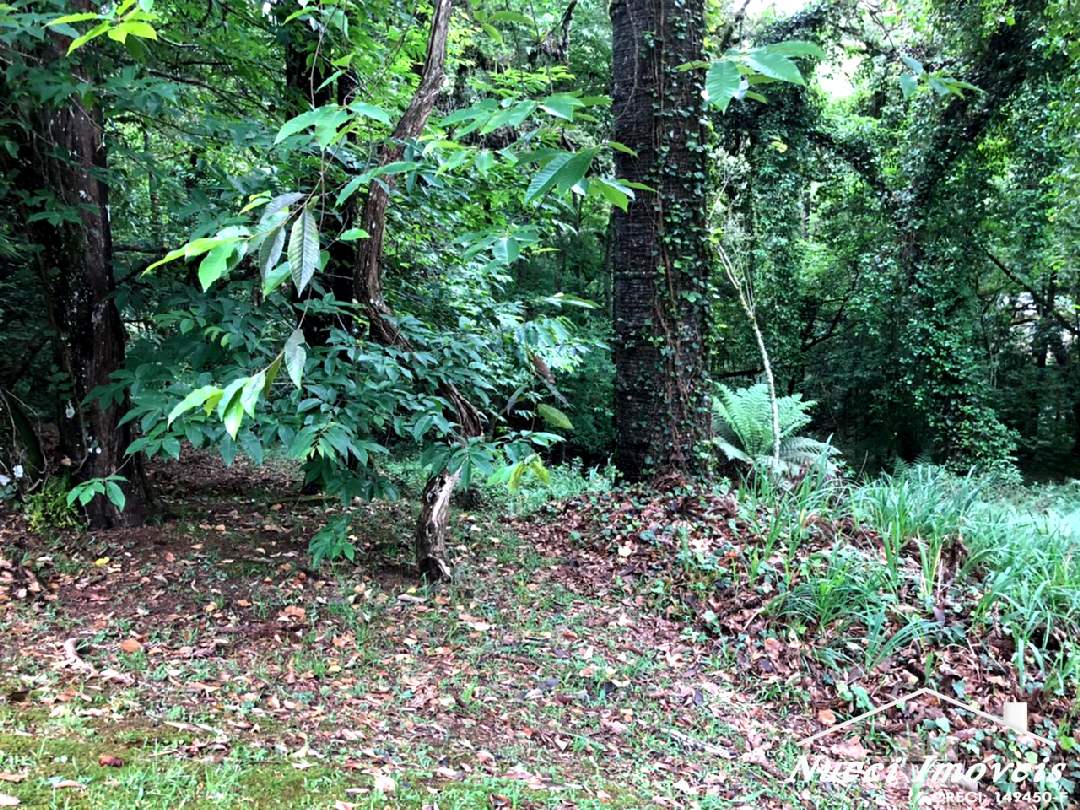 Excelente oportunidade em campos do jordão - foto 12