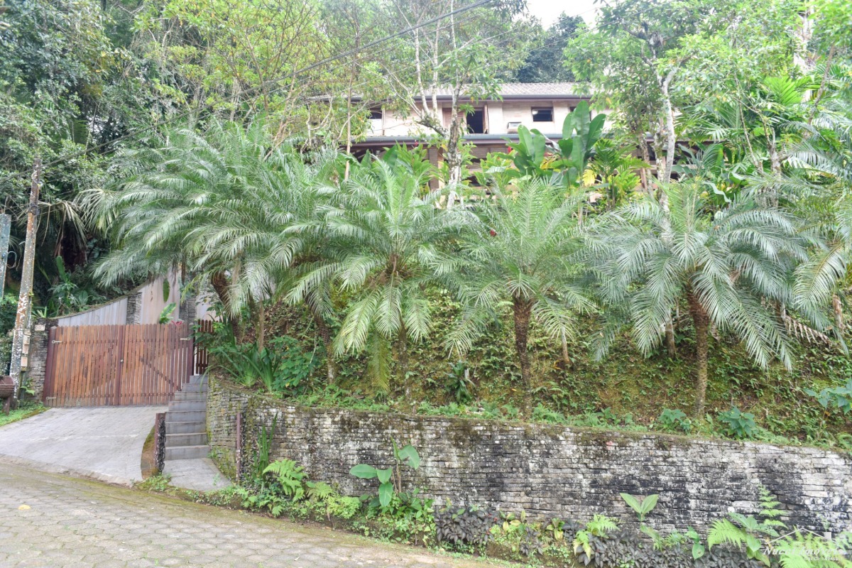 Casa entre a mata e o mar